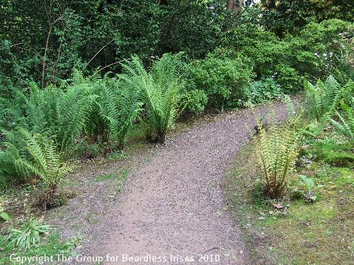 Knightshayes (60)